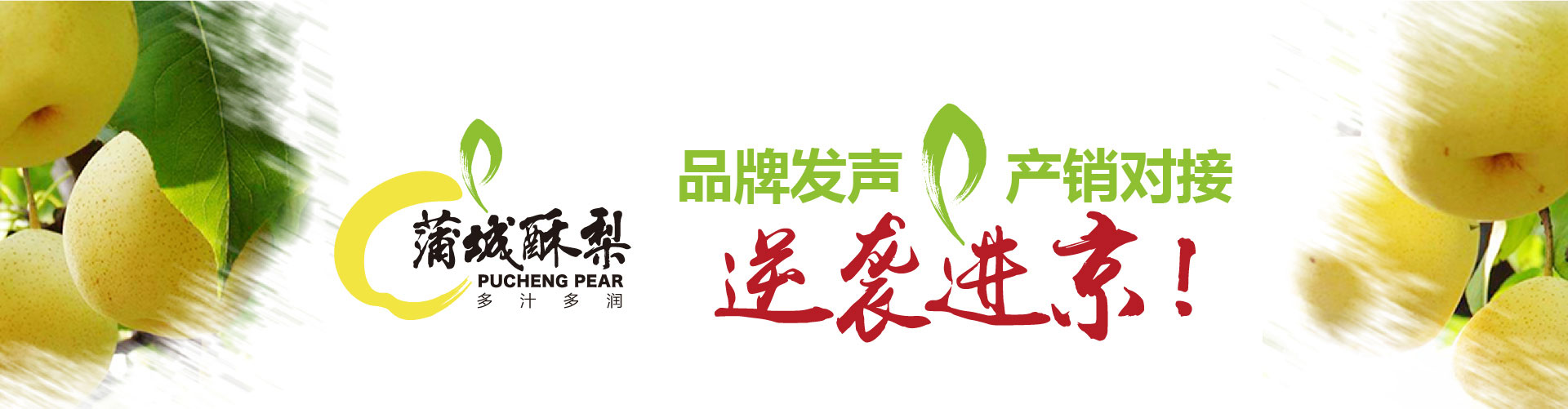 戰(zhàn)略賦能區(qū)域公用品牌，點(diǎn)亮區(qū)域經(jīng)濟(jì)
